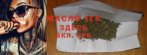 индика Лабытнанги