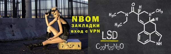 индика Лабытнанги