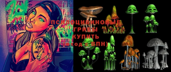 соль курить ск Липки