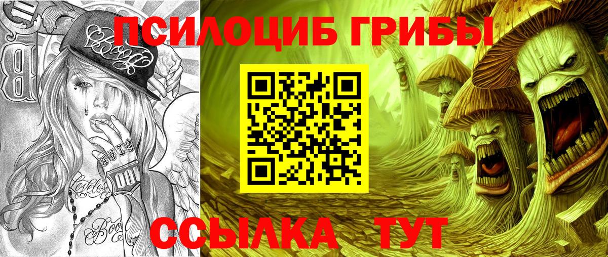 Мегион  Галлюциногенные грибы Psilocybine cubensis  Вход с VPN 