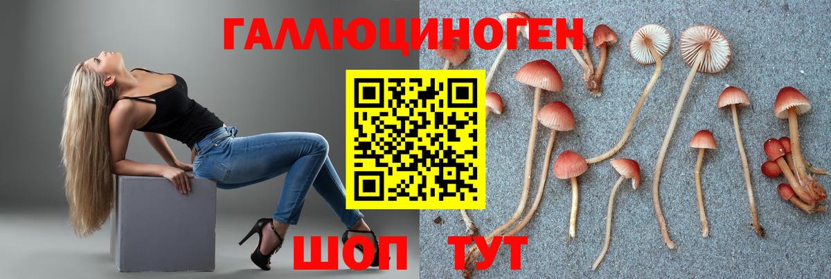 Галлюциногенные грибы Cubensis Мегион